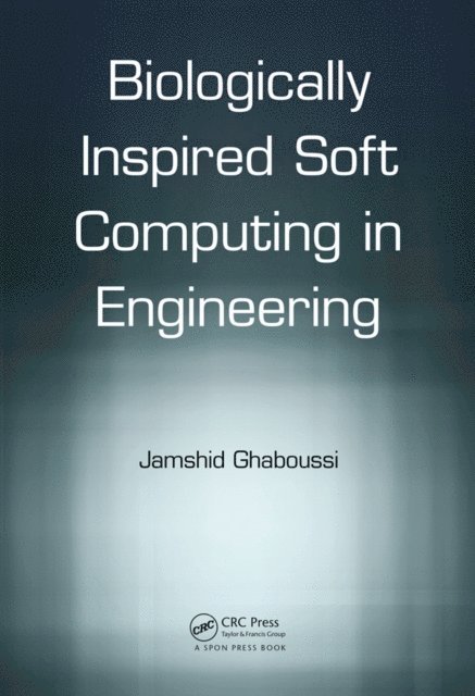 Jamshid Ghaboussi - Soft Computing in Engineering, E-bok