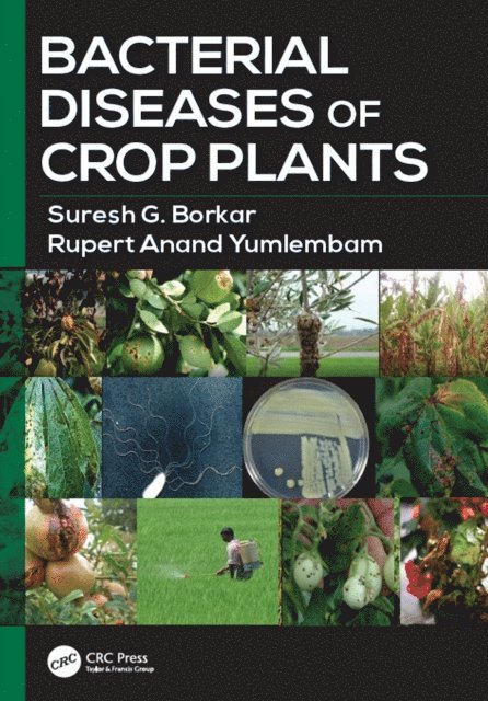 Rupert Anand Yumlembam, Suresh G. Borkar - Bacterial Diseases of Crop Plants, E-bok