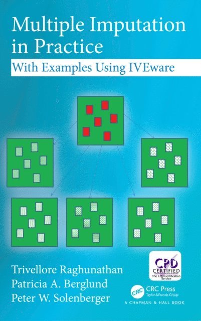 Peter W. Solenberger, Patricia A. Berglund, Trivellore Raghunathan - Multiple Imputation in Practice, E-bok