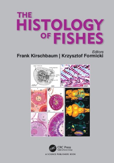 Frank Kirschbaum, Krzysztof Formicki - Histology of Fishes, E-bok