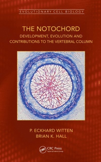 Brian K. Hall, P. Eckhard Witten - Notochord, E-bok