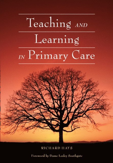 Richard Hays - Teaching and Learning in Primary Care, E-bok