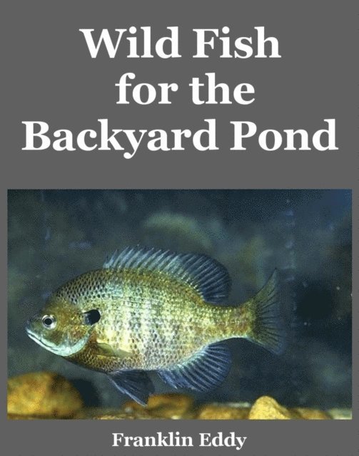 Wild Fish for the Backyard Pond