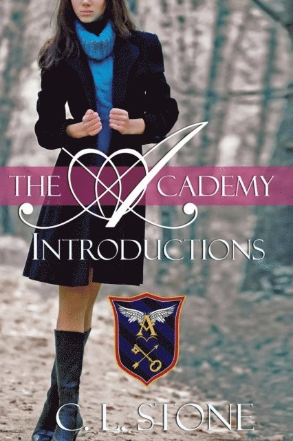 C. L. Stone - Academy - Introductions, E-bok
