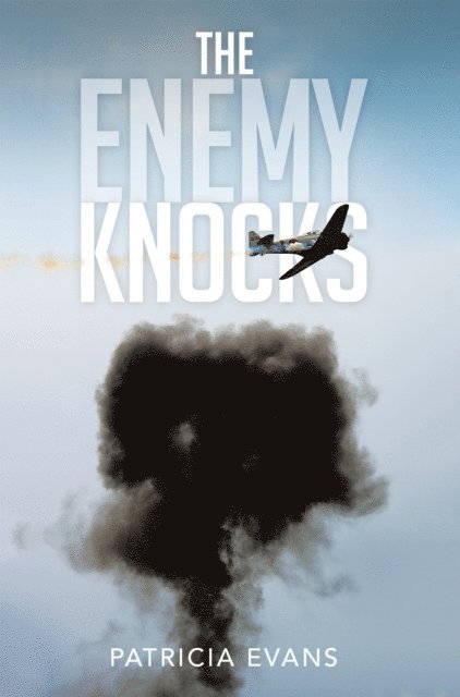 Patricia Evans - Enemy Knocks, E-bok