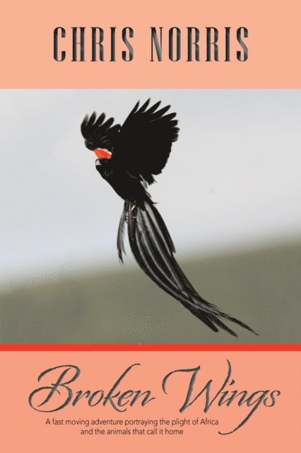 Chris Norris - Broken Wings, E-bok