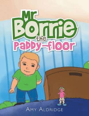 Amy Aldridge - Mr Borrie the Paddy-Floor, Häftad