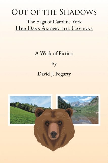 David J. Fogarty - Out of the Shadows, E-bok