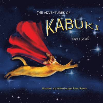 Adventures of Kabuki