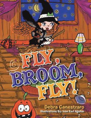 Debra Canestraro - Fly, Broom, Fly!, Häftad