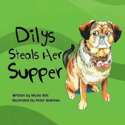 Nicola Allis - Dilys Steals Her Supper, Häftad