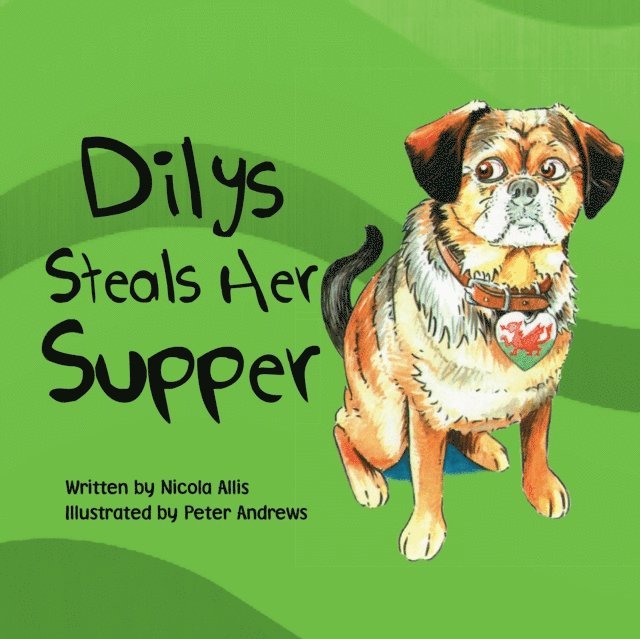 Nicola Allis, Peter Andrews - Dilys Steals Her Supper, E-bok