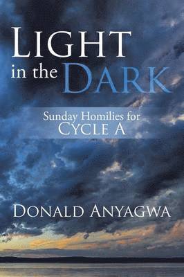Donald Anyagwa - Light in the Dark, Häftad. Tillgänglighet: Lägg i varukorg