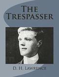 The Trespasser