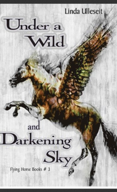 Linda Ulleseit - Under a Wild and Darkening Sky, E-bok