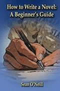 How to Write a Novel: A Beginner's Guide