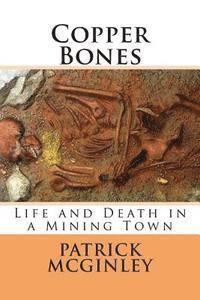 Patrick McGinley - Copper Bones, Häftad