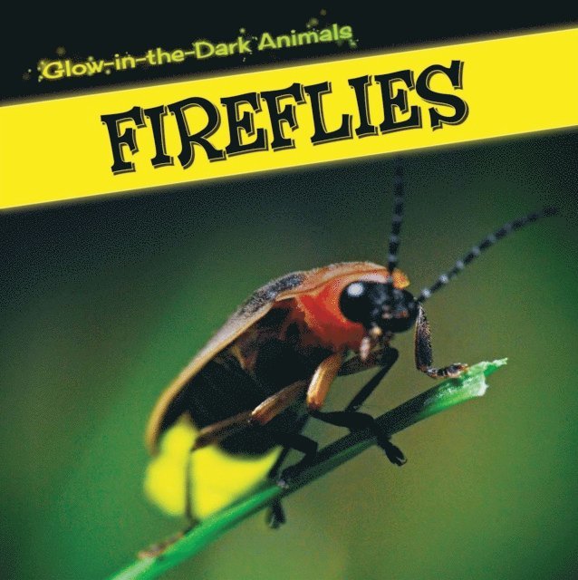Sara Howell - Fireflies, E-bok. Tillgänglighet: Lägg i varukorg