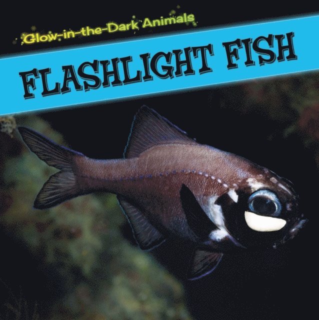 Caitie McAneney - Flashlight Fish, E-bok. Tillgänglighet: Lägg i varukorg