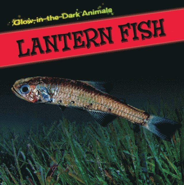 Sara Howell - Lantern Fish, E-bok. Tillgänglighet: Lägg i varukorg
