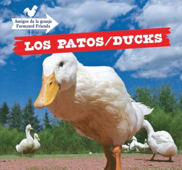 Maddie Gibbs - Los patos / Ducks, E-bok