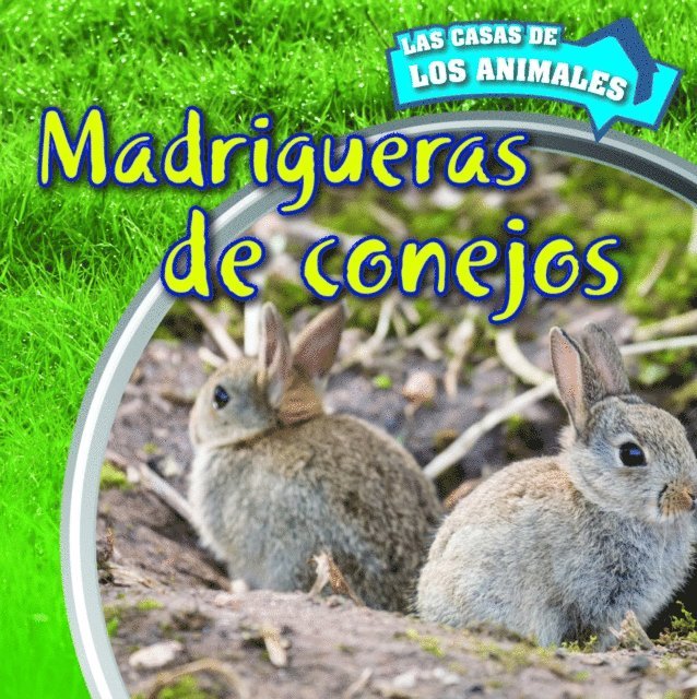 Liz Chung - Madrigueras de conejos (Inside Rabbit Burrows), E-bok