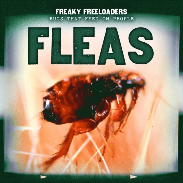 Cody Keiser - Fleas, E-bok. Tillgänglighet: Lägg i varukorg