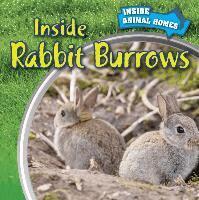 Liz Chung - Inside Rabbit Burrows, Häftad