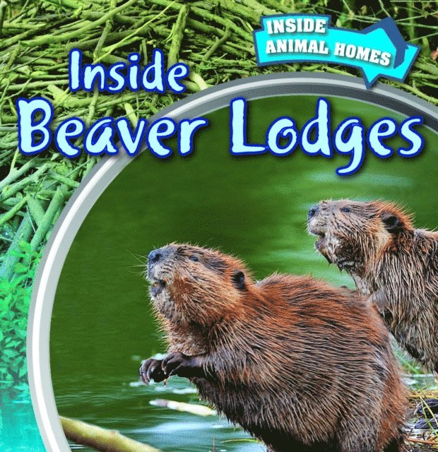Emily Wilson - Inside Beaver Lodges, E-bok