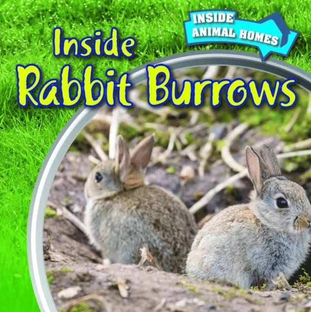 Liz Chung - Inside Rabbit Burrows, E-bok