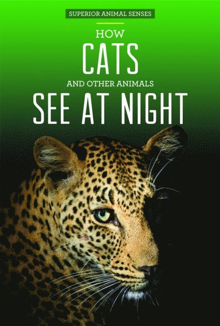 Christine Honders - How Cats and Other Animals See at Night, E-bok