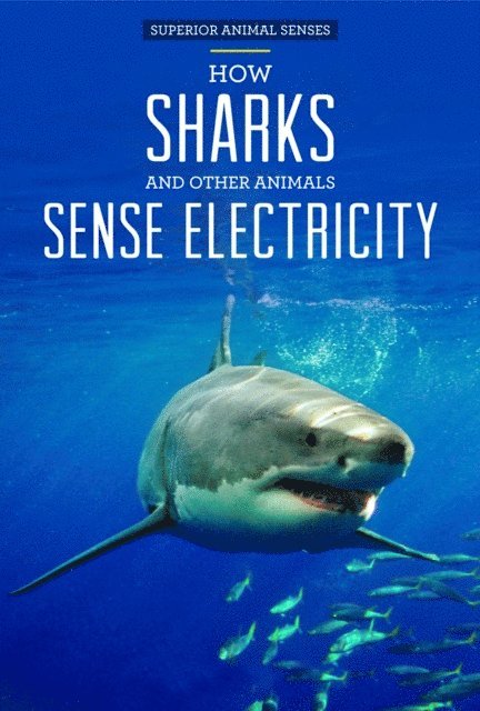 Christine Honders - How Sharks and Other Animals Sense Electricity, E-bok