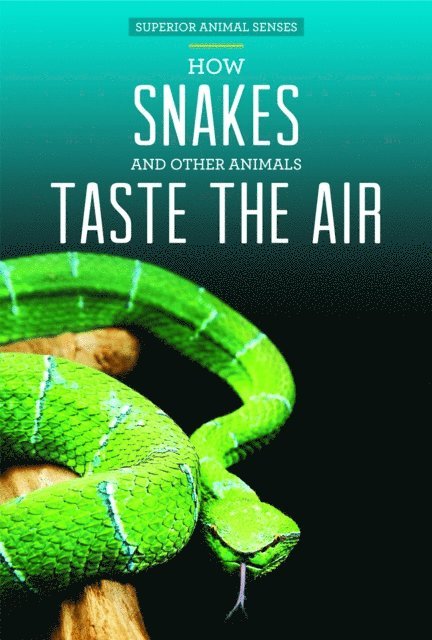 How Snakes and Other Animals Taste the Air