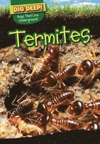 Liz Chung - Termites, Häftad
