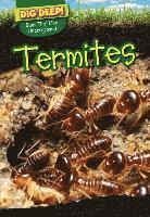 Liz Chung - Termites, Inbunden
