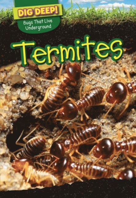 Liz Chung - Termites, E-bok