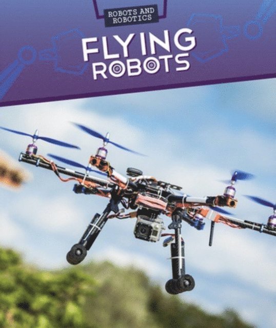 Daniel R. Faust - Flying Robots, E-bok