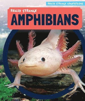 Melissa Raé Shofner - Really Strange Amphibians, Häftad. Tillgänglighet: Lägg i varukorg