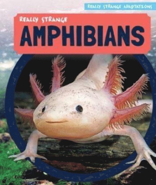 Melissa Rae Shofner - Really Strange Amphibians, E-bok
