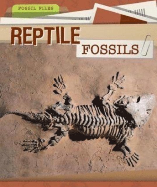 Christine Honders - Reptile Fossils, E-bok
