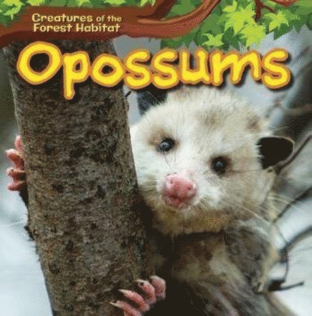 Ada Quinlivan - Opossums, E-bok. Tillgänglighet: Lägg i varukorg