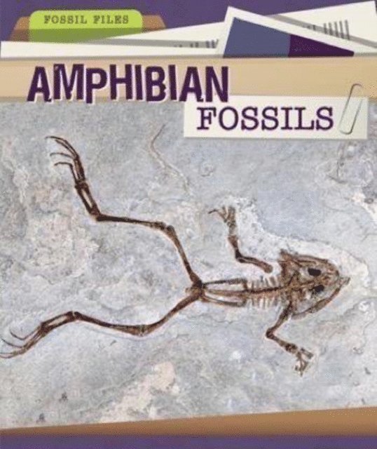 Mariel Bard - Amphibian Fossils, E-bok