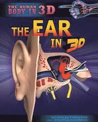 Ear in 3D