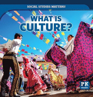 Peter Finn - What Is Culture?, Häftad