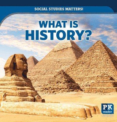 Peter Finn - What Is History?, Häftad