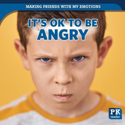 Theresa Emminizer - It's Ok to Be Angry, Inbunden. Tillgänglighet: Lägg i varukorg