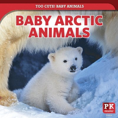 Rachael Morlock - Baby Arctic Animals, Häftad