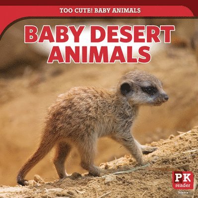 Rachael Morlock - Baby Desert Animals, Häftad