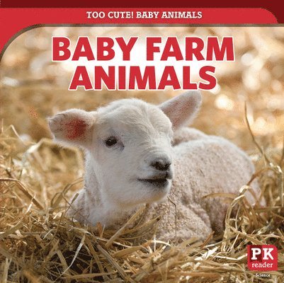 Rachael Morlock - Baby Farm Animals, Häftad