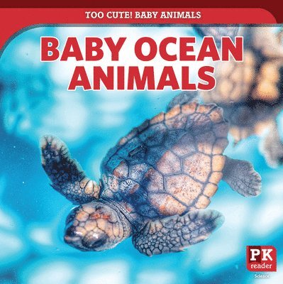 Rachael Morlock - Baby Ocean Animals, Häftad